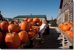 pumpkins2011-5