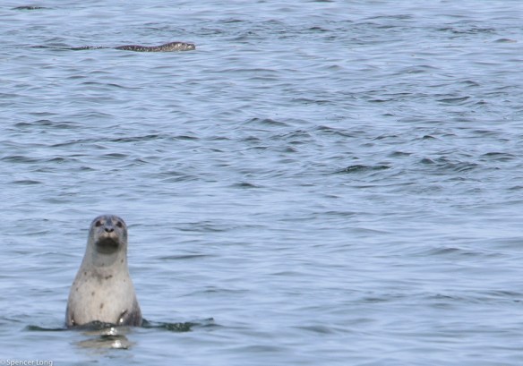 This victory is sealed.