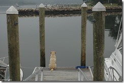 nigel-100 (2013_06_08 15_27_27 UTC)