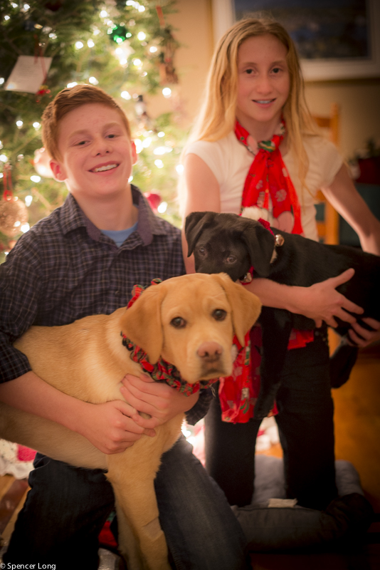 This year's Xmas card...