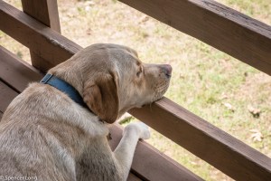 piros.perron.beachhouse-3