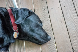 piros.perron.beachhouse-4