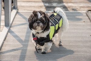 piros.perron.beachhouse-52