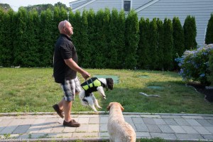 piros.perron.beachhouse-68