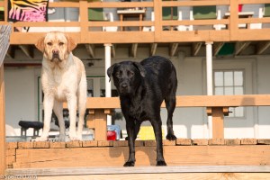 piros.perron.beachhouse-96