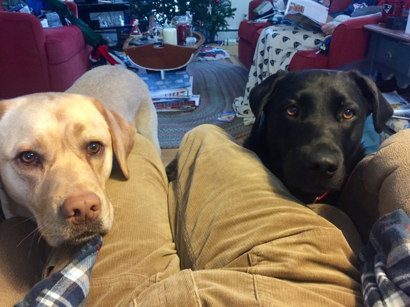 20161226_141023853_ios