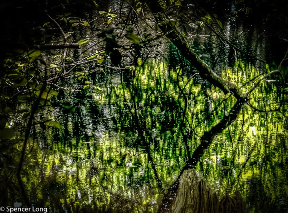 goddard.park-1-Edit-Edit